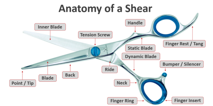 what are shears used for